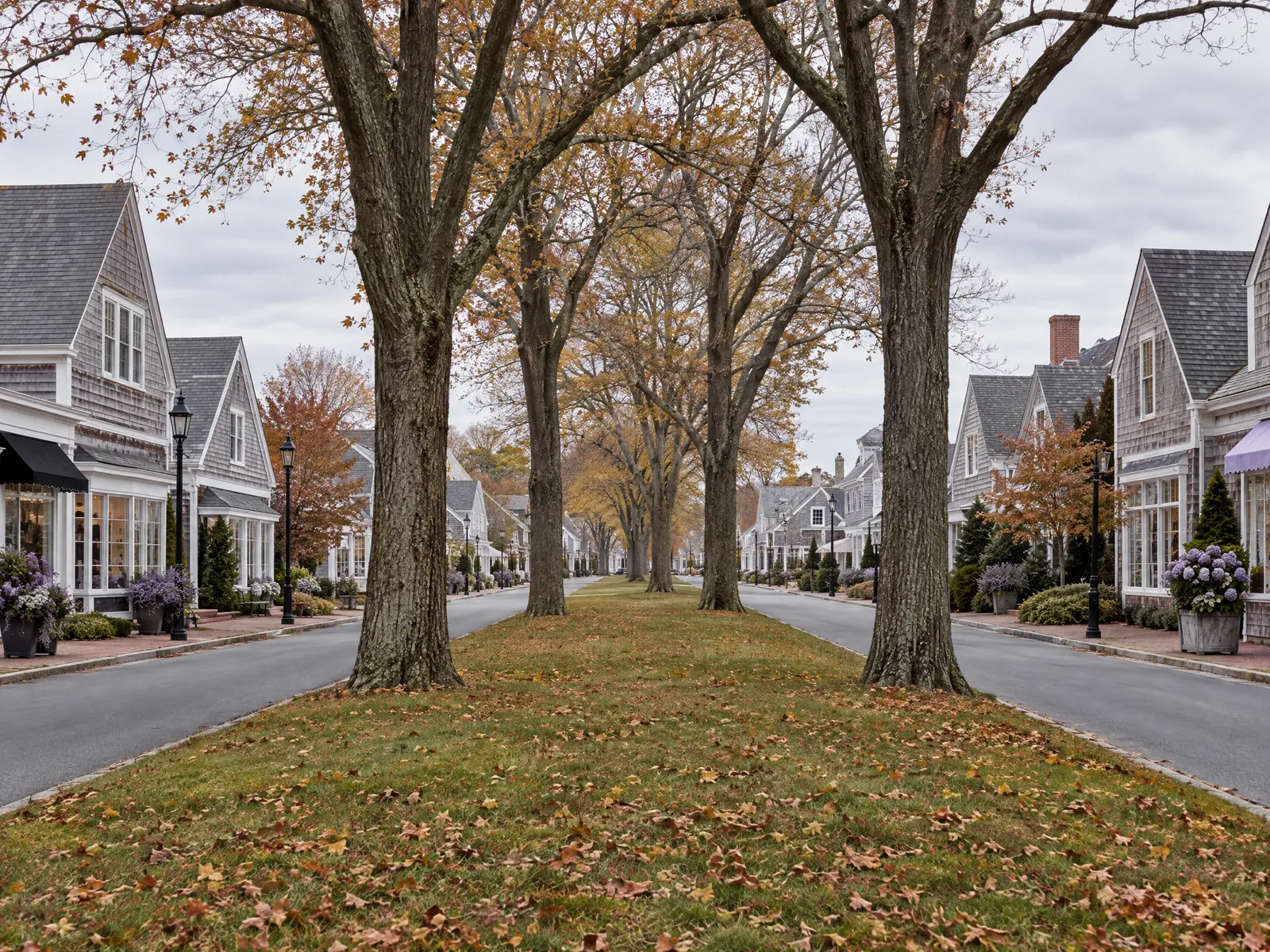 Cedar shingle shops along a street with a wide grassy median of old elm trees